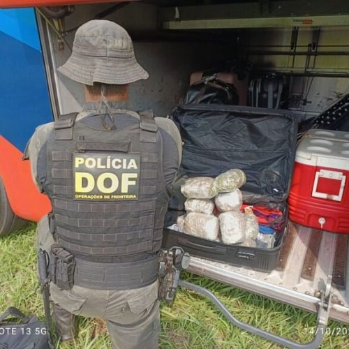 Homem que seguia com droga para Três Lagoas é preso pelo DOF
