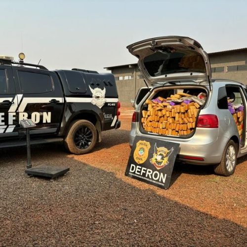 Polícia Civil apreende quase uma tonelada de maconha